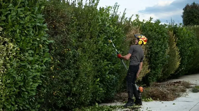 Entretien de jardin méditerranéen à Perpignan — taille de haies, débroussaillage OLD 66