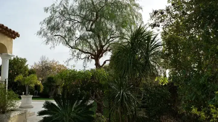 Aménagement paysager méditerranéen — Vertical Élagage Perpignan Paysagiste à Perpignan — jardin méditerranéen, conseil des végétaux, Vertical Élagage 66