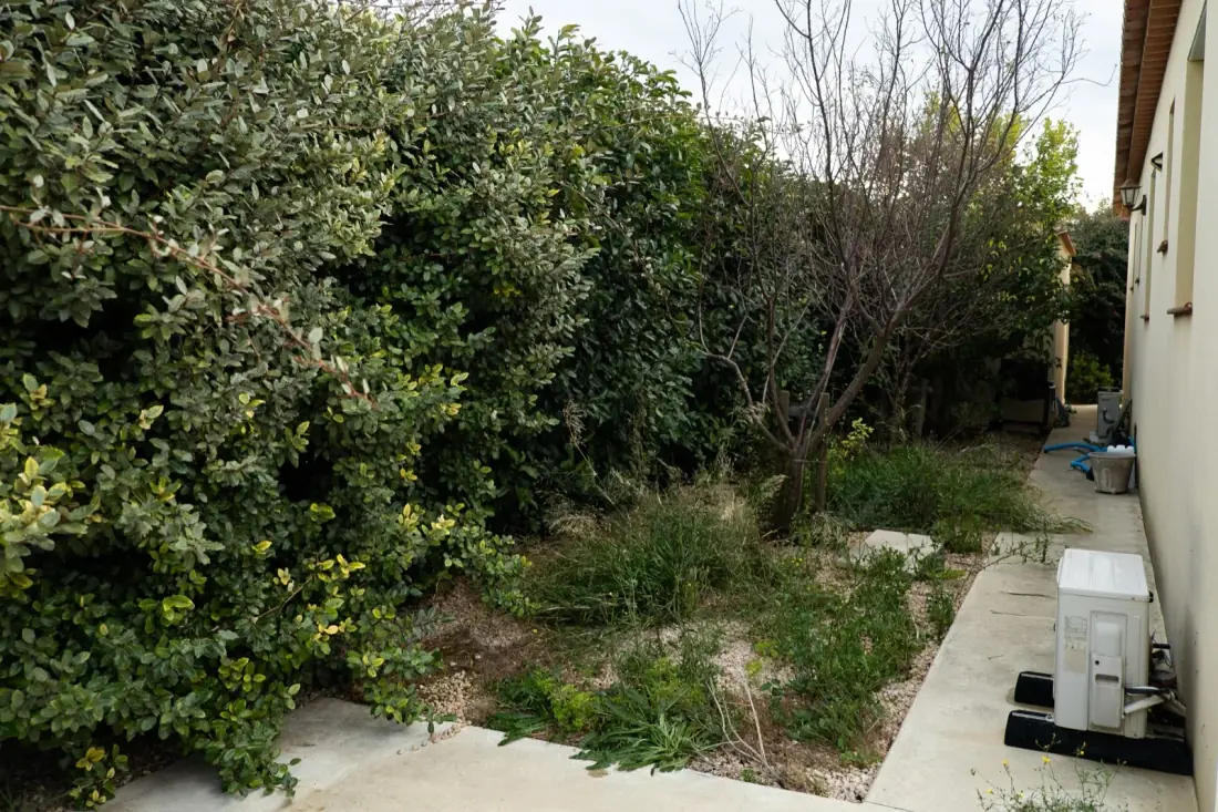 Jardin de villa en friche avant débroussaillage — haie envahie et broussailles par Vertical Élagage 66
