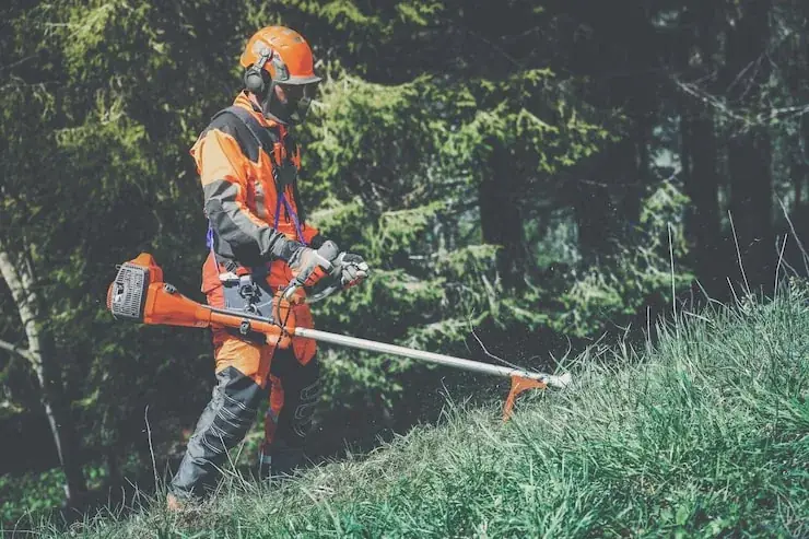 Débroussaillage OLD à Perpignan — mise en conformité 50 m autour du bâti, Pyrénées-Orientales 66