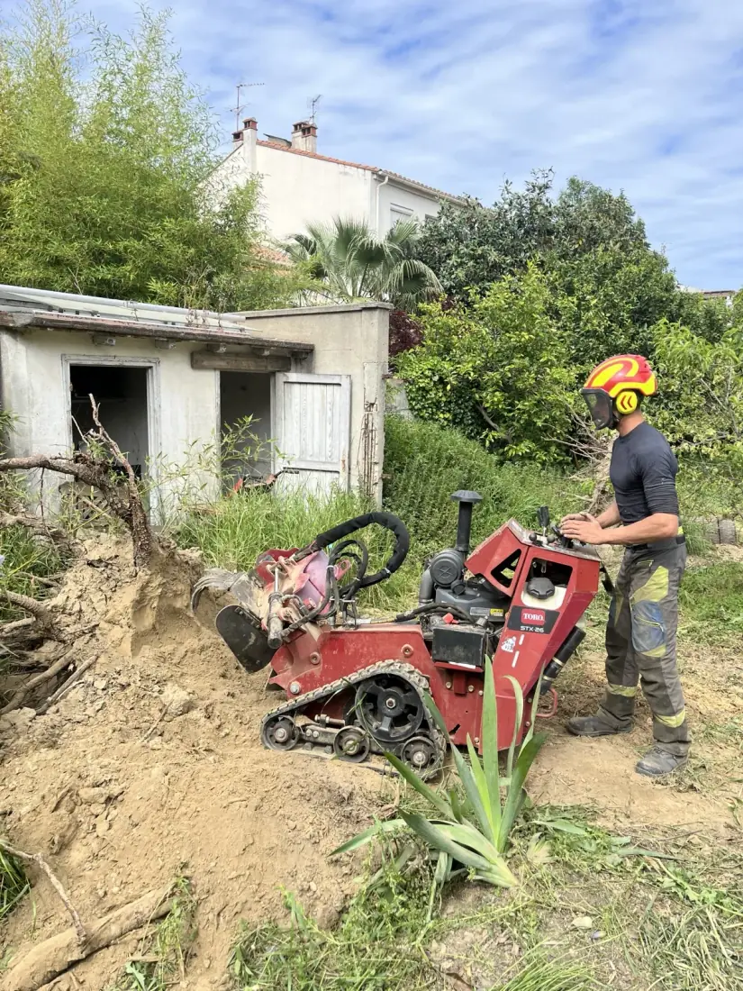 Dessouchage et rognage de souche à Perpignan — mini-pelle et rogneuse, Pyrénées-Orientales 66