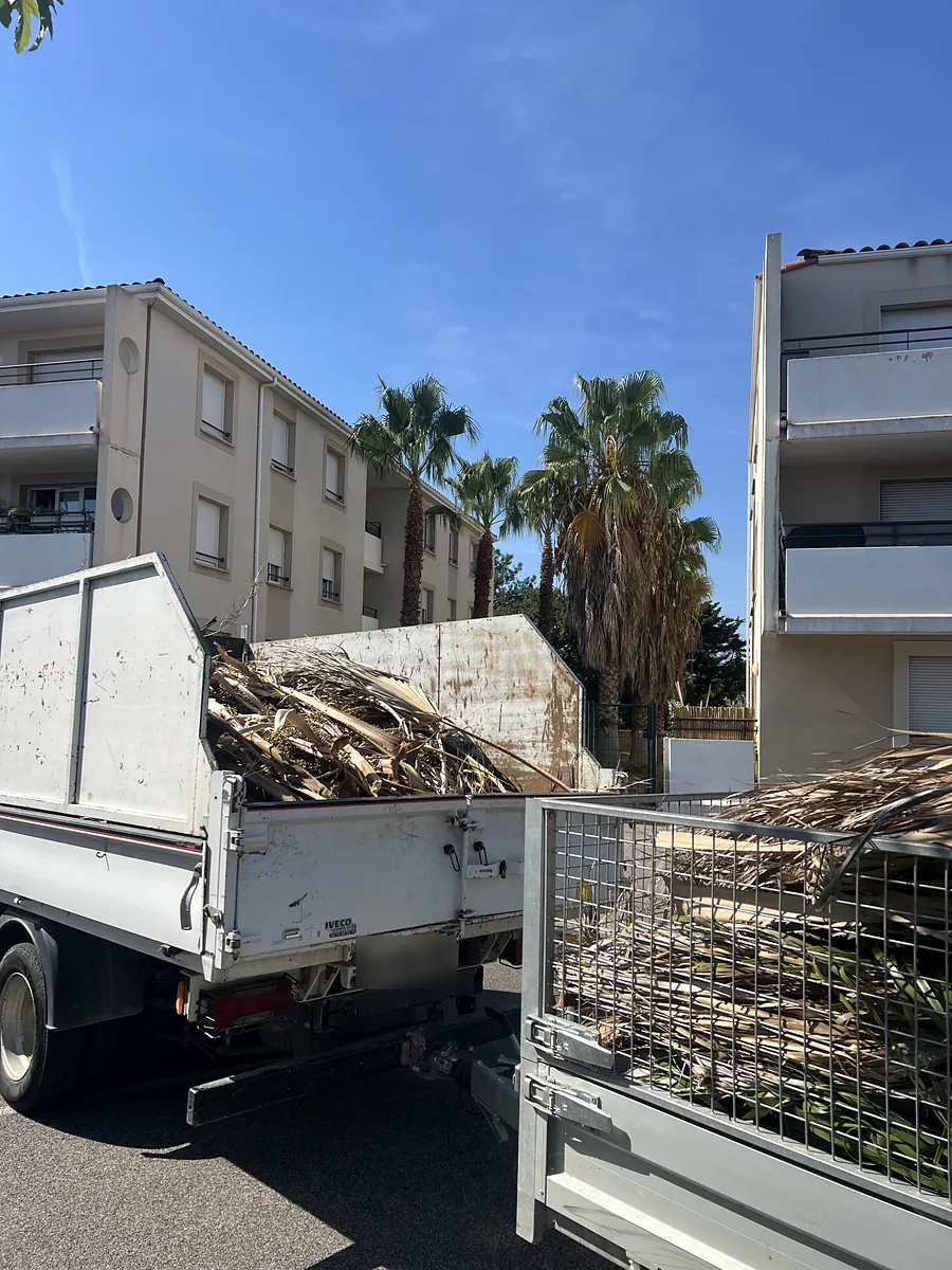 Évacuation des palmes en fin de chantier — Vertical Élagage Palmes chargées dans le camion-benne et la remorque de Vertical Élagage en fin de chantier palmiers, devant une résidence du 66