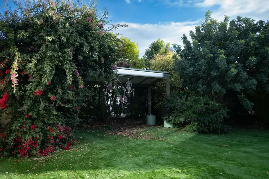 AVANT — bougainvillier en pleine floraison envahissant l'auvent, haies débordantes — Vertical Élagage Perpignan