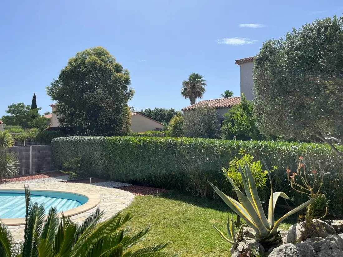 Jardin méditerranéen entretenu avec haie taillée au cordeau le long d'une piscine — Vertical Élagage Perpignan 66