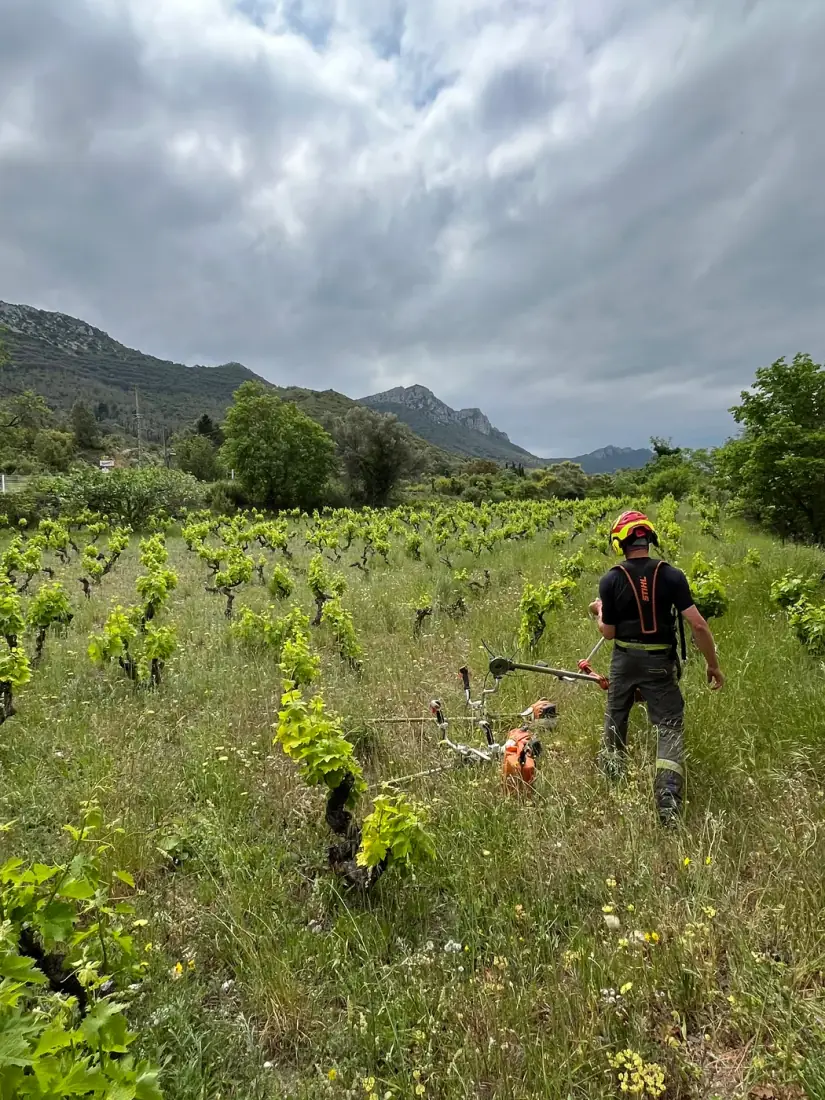 Opérateur casqué manœuvrant une rogneuse de souche Toro le long d'une maison — dessouchage Vertical Élagage Perpignan 66